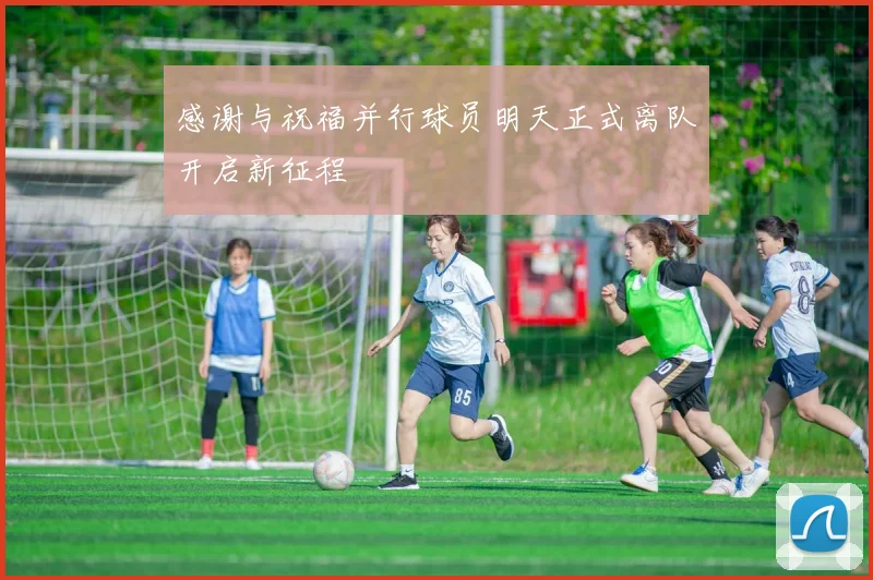 感谢与祝福并行球员明天正式离队开启新征程