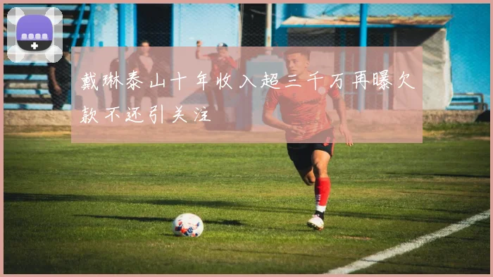 戴琳泰山十年收入超三千万再曝欠款不还引关注