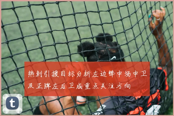 热刺引援目标分析左边锋中场中卫及正牌左后卫成重点关注方向