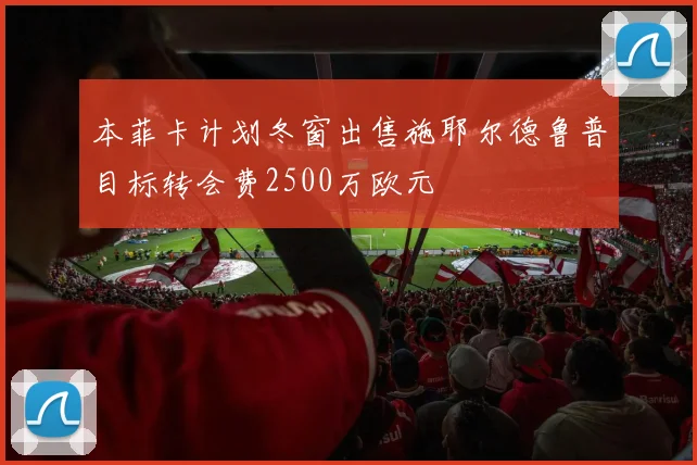 本菲卡计划冬窗出售施耶尔德鲁普目标转会费2500万欧元