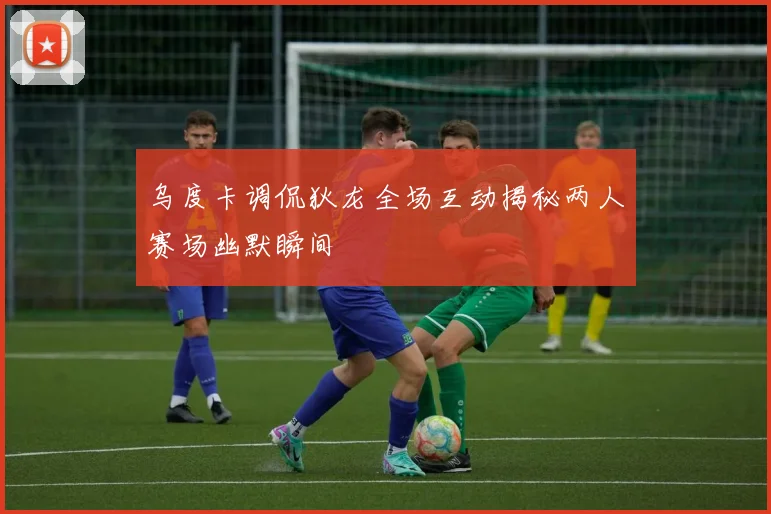 乌度卡调侃狄龙全场互动揭秘两人赛场幽默瞬间