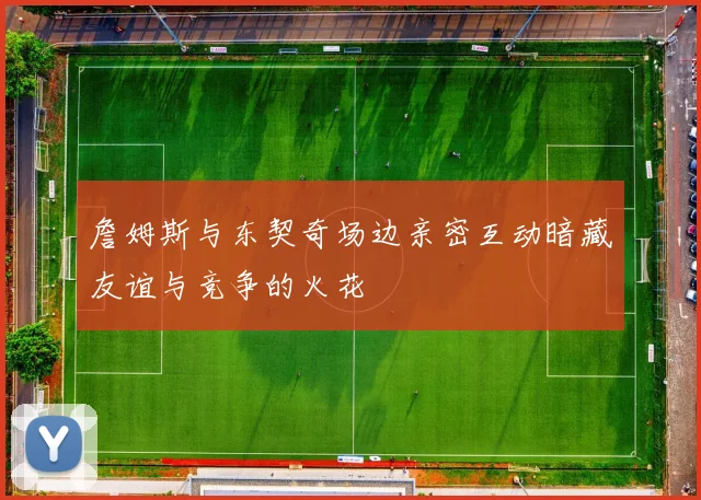 詹姆斯与东契奇场边亲密互动暗藏友谊与竞争的火花