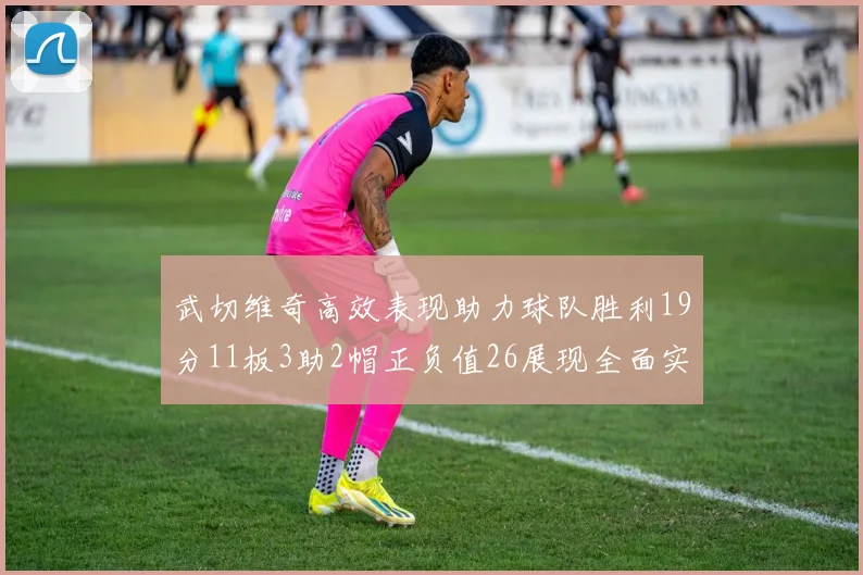 武切维奇高效表现助力球队胜利19分11板3助2帽正负值26展现全面实力